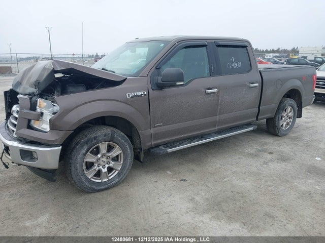 1FTFW1EG4HKE29484 Ford F-150 Xlt