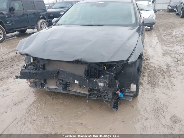 Продаж на аукціоні авто 2024 Hyundai Elantra Luxury, vin: KMHLN4DG2RU704179, номер лоту: 12480703
