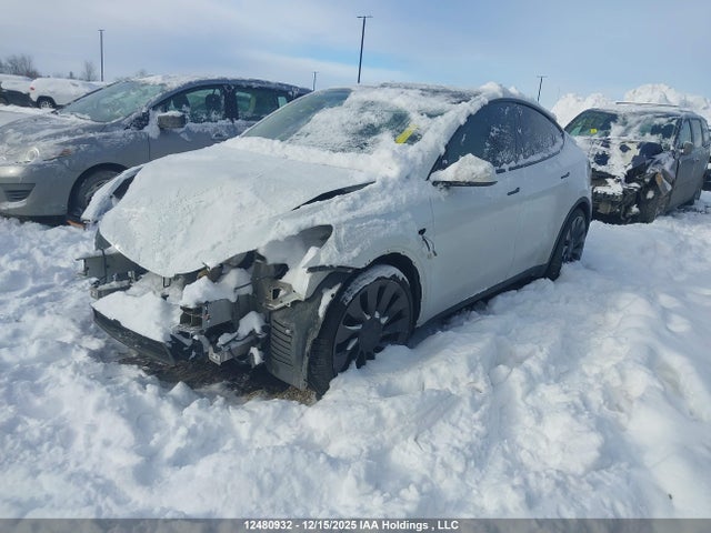 5YJYGDEFXMF182784 Tesla Model Y Performance