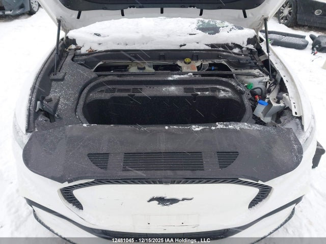 Продажа на аукционе авто 2023 Ford Mustang Mach-e Select, vin: 3FMTK1S50PMA82031, номер лота: 12481045