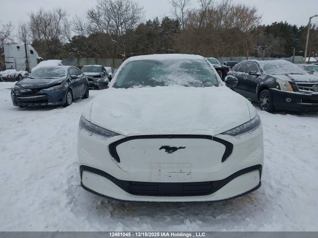 Продажа на аукционе авто 2023 Ford Mustang Mach-e Select, vin: 3FMTK1S50PMA82031, номер лота: 12481045
