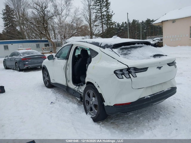 Продажа на аукционе авто 2023 Ford Mustang Mach-e Select, vin: 3FMTK1S50PMA82031, номер лота: 12481045
