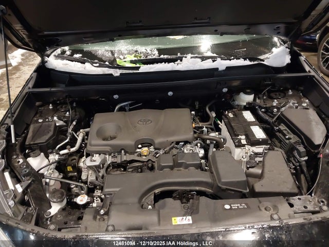 12481094 :رقم المزاد ، 2T3R1RFV8SC538098 vin ، 2025 Toyota Rav4 Xle مزاد بيع