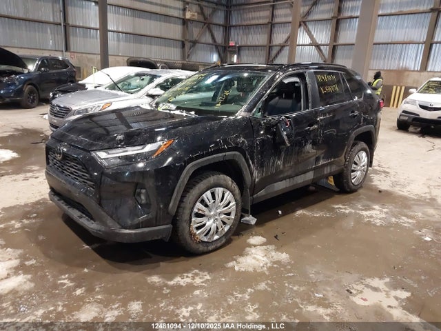 12481094 :رقم المزاد ، 2T3R1RFV8SC538098 vin ، 2025 Toyota Rav4 Xle مزاد بيع