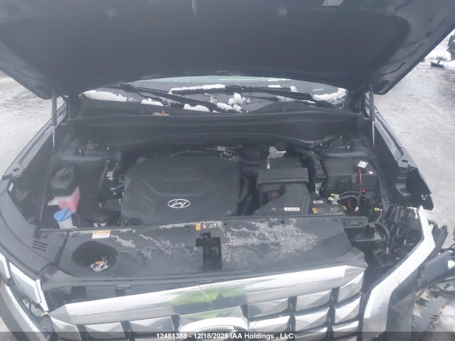 Продаж на аукціоні авто 2025 Hyundai Palisade Limited, vin: KM8R5DGE3SU818069, номер лоту: 12481388