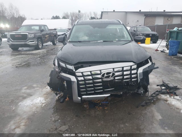 Продаж на аукціоні авто 2025 Hyundai Palisade Limited, vin: KM8R5DGE3SU818069, номер лоту: 12481388