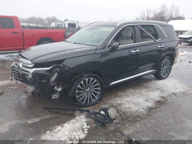 Продаж на аукціоні авто 2025 Hyundai Palisade Limited, vin: KM8R5DGE3SU818069, номер лоту: 12481388