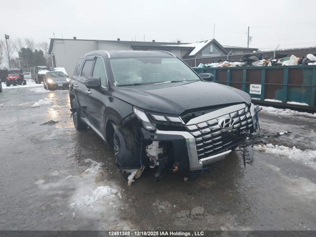 Продаж на аукціоні авто 2025 Hyundai Palisade Limited, vin: KM8R5DGE3SU818069, номер лоту: 12481388