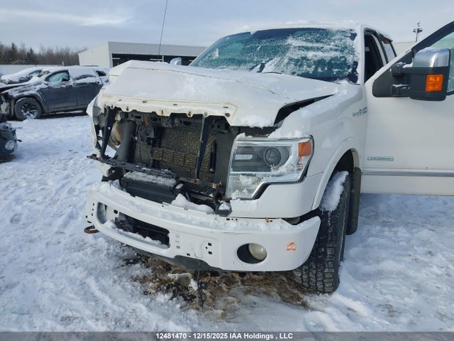 2013 Ford F-150 Platinum მანქანა იყიდება აუქციონზე, vin: 1FTFW1ET2DFD06430, აუქციონის ნომერი: 12481470
