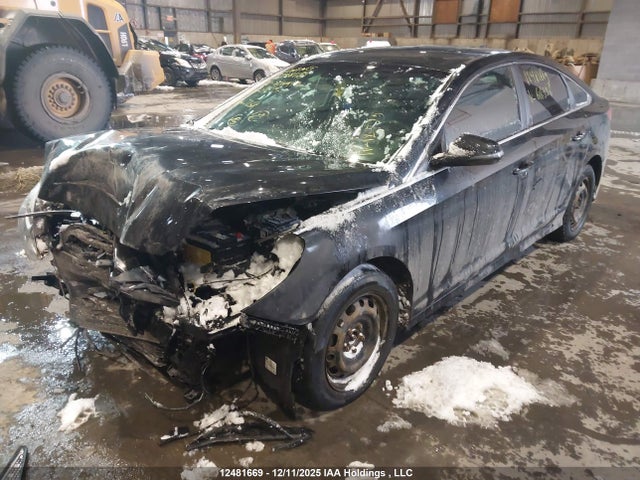 5NPE24AFXJH616996 Hyundai Sonata