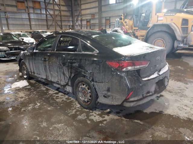 5NPE24AFXJH616996 Hyundai Sonata