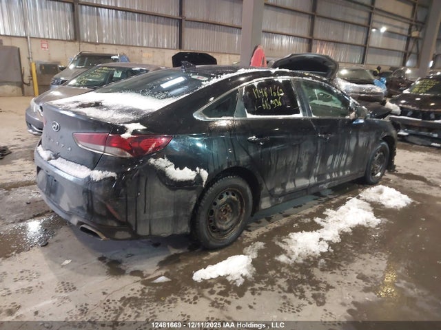 5NPE24AFXJH616996 Hyundai Sonata