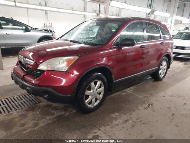 12481677 :رقم المزاد ، 5J6RE48537L804845 vin ، 2007 Honda Cr-v مزاد بيع