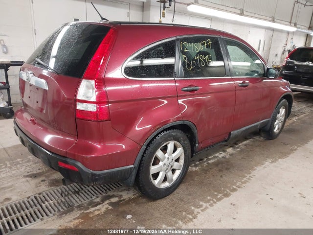 12481677 :رقم المزاد ، 5J6RE48537L804845 vin ، 2007 Honda Cr-v مزاد بيع