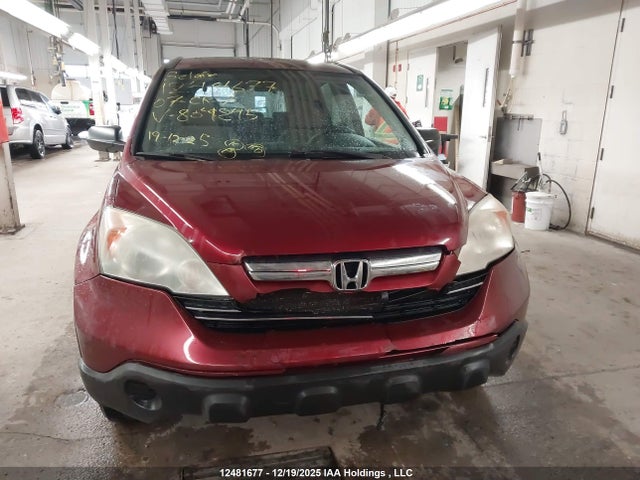 12481677 :رقم المزاد ، 5J6RE48537L804845 vin ، 2007 Honda Cr-v مزاد بيع