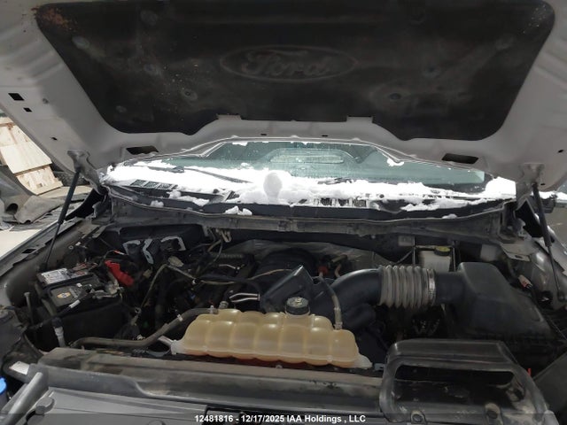 Aukcja sprzedaży 2021 Ford F150 Super Cab, vin: 1FTFX1E53MKE00662, numer aukcji: 12481816