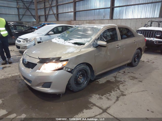 2010 Toyota Corolla Ce მანქანა იყიდება აუქციონზე, vin: 2T1BU4EE2AC218134, აუქციონის ნომერი: 12481832