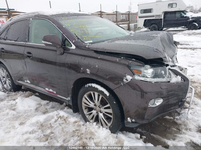 2T2BK1BA1EC238656 Lexus Rx 350/base/f Sport