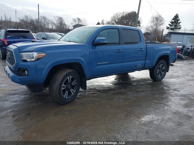 Продаж на аукціоні авто 2019 Toyota Tacoma Double Cab/sr5/trd Sport/trd Off Road, vin: 5TFDZ5BN7KX040308, номер лоту: 12482259