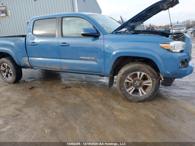 5TFDZ5BN7KX040308 Toyota Tacoma Double Cab/sr5/trd Sport/trd Off Road