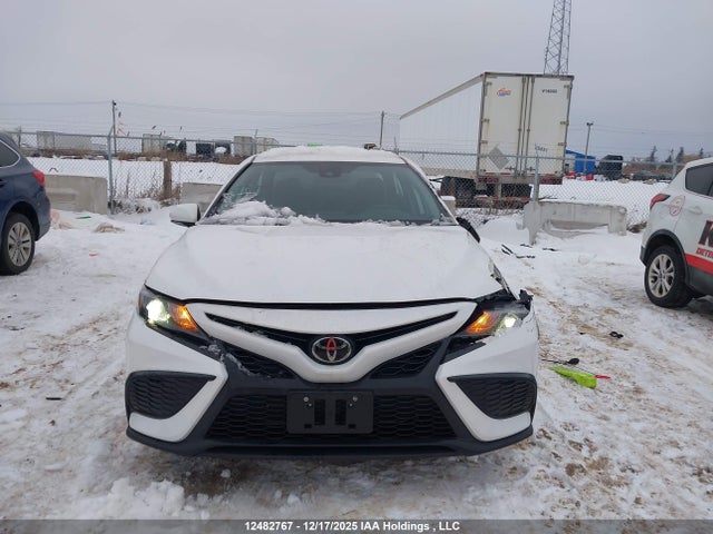 4T1G11BK0RU125260 Toyota Camry Se Night Shade/se