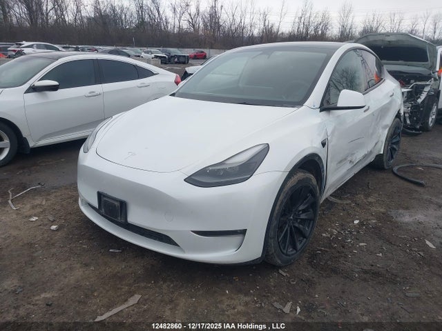 12482860 :رقم المزاد ، 7SAYGAEE7PF760465 vin ، 2023 Tesla Model Y Long Range مزاد بيع