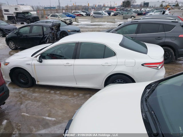 4T1B31HKXKU515848 Toyota CAMRY LE