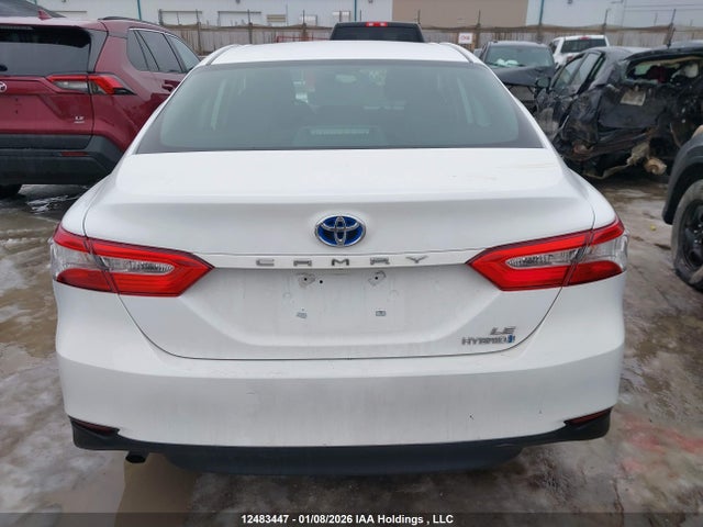 4T1B31HKXKU515848 Toyota CAMRY LE