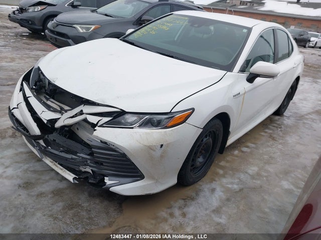 4T1B31HKXKU515848 Toyota CAMRY LE