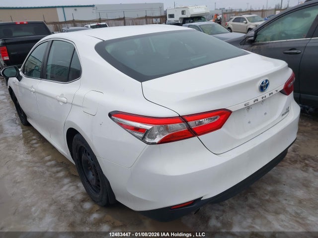 4T1B31HKXKU515848 Toyota CAMRY LE
