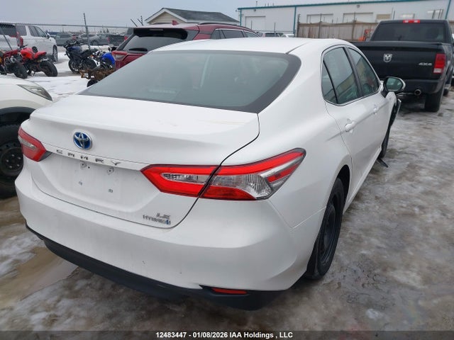 4T1B31HKXKU515848 Toyota CAMRY LE