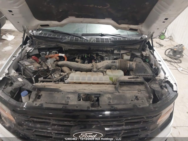 Aukcja sprzedaży 2024 Ford F-150 Xlt, vin: 1FTFW3LD5RFB50849, numer aukcji: 12483462