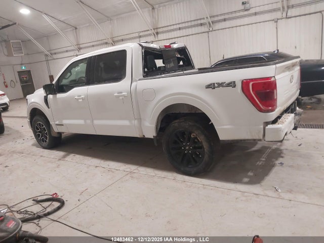 Aukcja sprzedaży 2024 Ford F-150 Xlt, vin: 1FTFW3LD5RFB50849, numer aukcji: 12483462