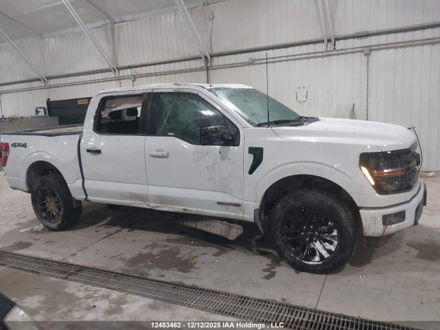 Aukcja sprzedaży 2024 Ford F-150 Xlt, vin: 1FTFW3LD5RFB50849, numer aukcji: 12483462