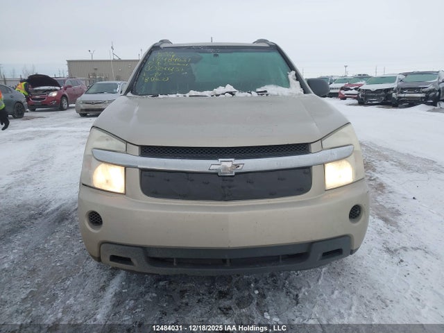 12484031 :رقم المزاد ، 2CNDL13F796246137 vin ، 2009 Chevrolet Equinox Ls مزاد بيع
