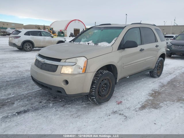 12484031 :رقم المزاد ، 2CNDL13F796246137 vin ، 2009 Chevrolet Equinox Ls مزاد بيع