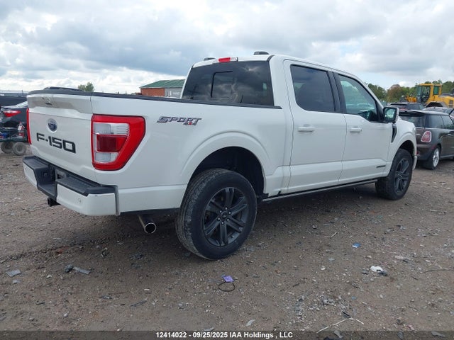 2023 Ford F-150 Lariat მანქანა იყიდება აუქციონზე, vin: 1FTFW1ED7PFB15678, აუქციონის ნომერი: 12414022