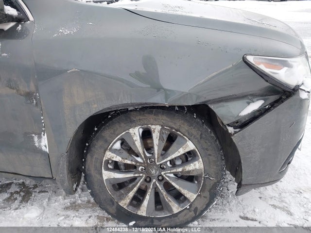 Acura Mdx Technology 2016 5FRYD4H48GB505218 Image 19
