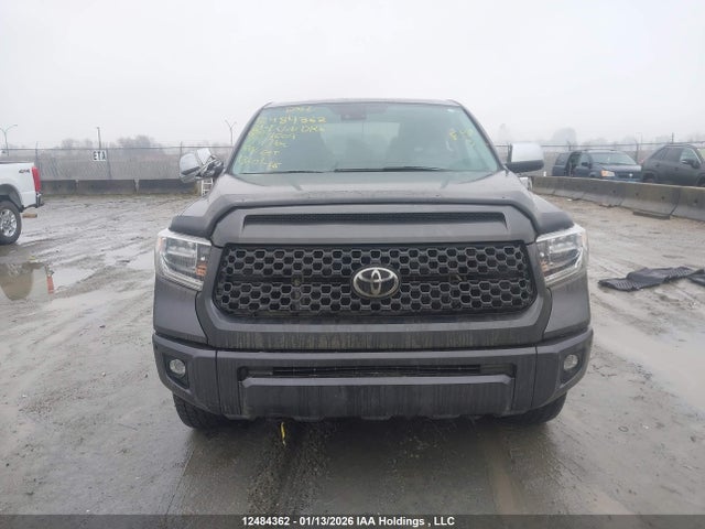 Продаж на аукціоні авто 2021 Toyota Tundra Crewmax 1794/crewmax Platinum, vin: 5TFAY5F18MX971609, номер лоту: 12484362