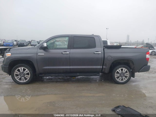 Продаж на аукціоні авто 2021 Toyota Tundra Crewmax 1794/crewmax Platinum, vin: 5TFAY5F18MX971609, номер лоту: 12484362