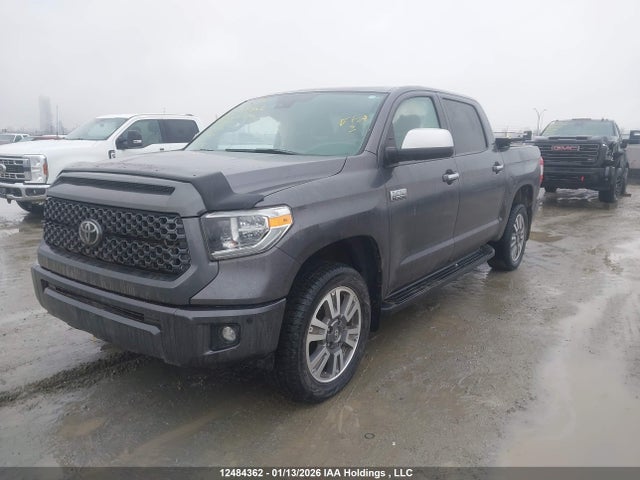 Продаж на аукціоні авто 2021 Toyota Tundra Crewmax 1794/crewmax Platinum, vin: 5TFAY5F18MX971609, номер лоту: 12484362