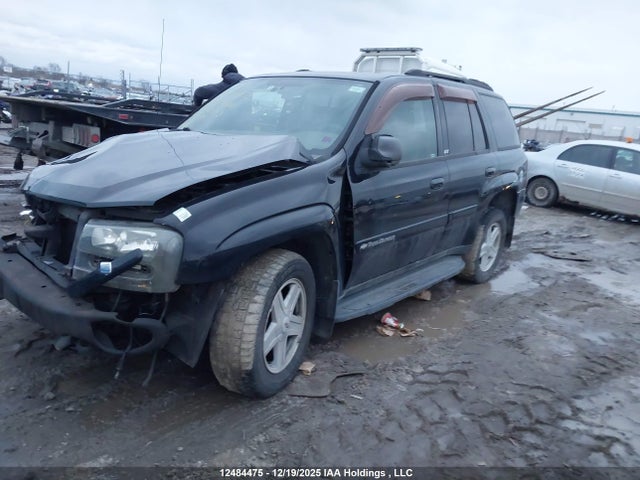 Продажа на аукционе авто 2002 Chevrolet Trailblazer, vin: 1GNDT13S922322193, номер лота: 12484475