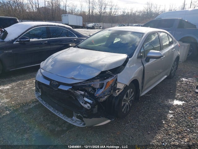 JTDBCMFE1S3104427 Toyota Corolla Le/se/xle