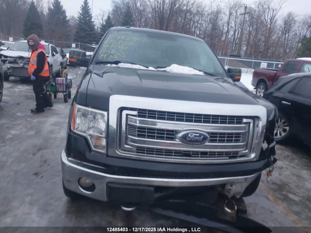12485403 :رقم المزاد ، 1FTFW1EF0EFA72882 vin ، 2014 Ford F-150 مزاد بيع