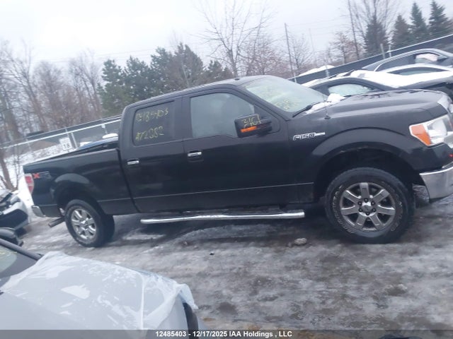 12485403 :رقم المزاد ، 1FTFW1EF0EFA72882 vin ، 2014 Ford F-150 مزاد بيع