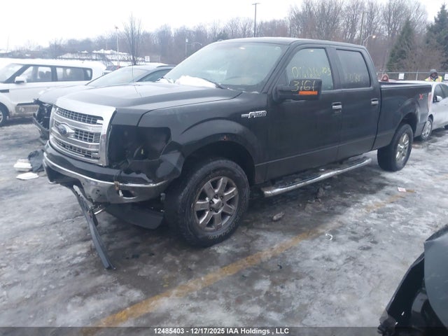 12485403 :رقم المزاد ، 1FTFW1EF0EFA72882 vin ، 2014 Ford F-150 مزاد بيع