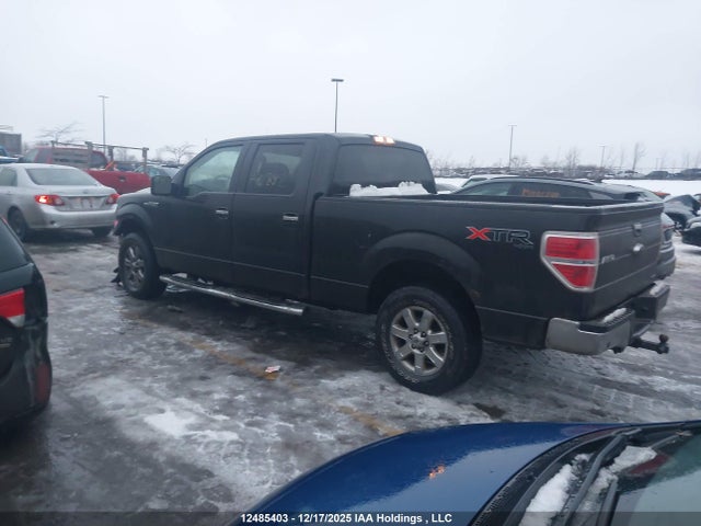 12485403 :رقم المزاد ، 1FTFW1EF0EFA72882 vin ، 2014 Ford F-150 مزاد بيع