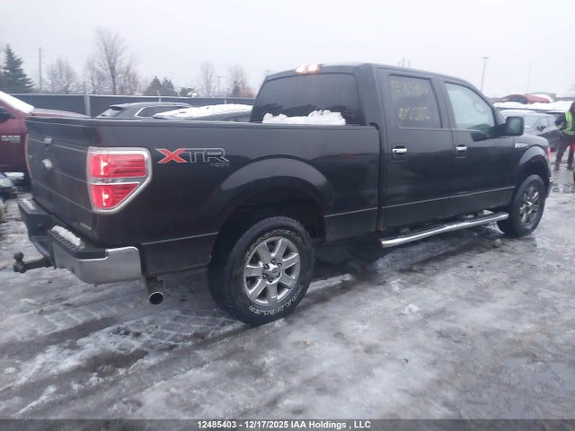 12485403 :رقم المزاد ، 1FTFW1EF0EFA72882 vin ، 2014 Ford F-150 مزاد بيع