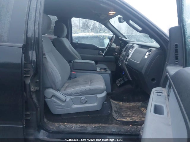 12485403 :رقم المزاد ، 1FTFW1EF0EFA72882 vin ، 2014 Ford F-150 مزاد بيع