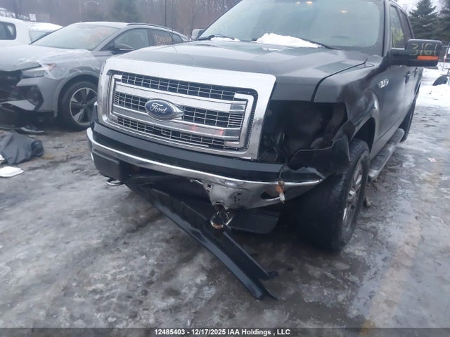 12485403 :رقم المزاد ، 1FTFW1EF0EFA72882 vin ، 2014 Ford F-150 مزاد بيع